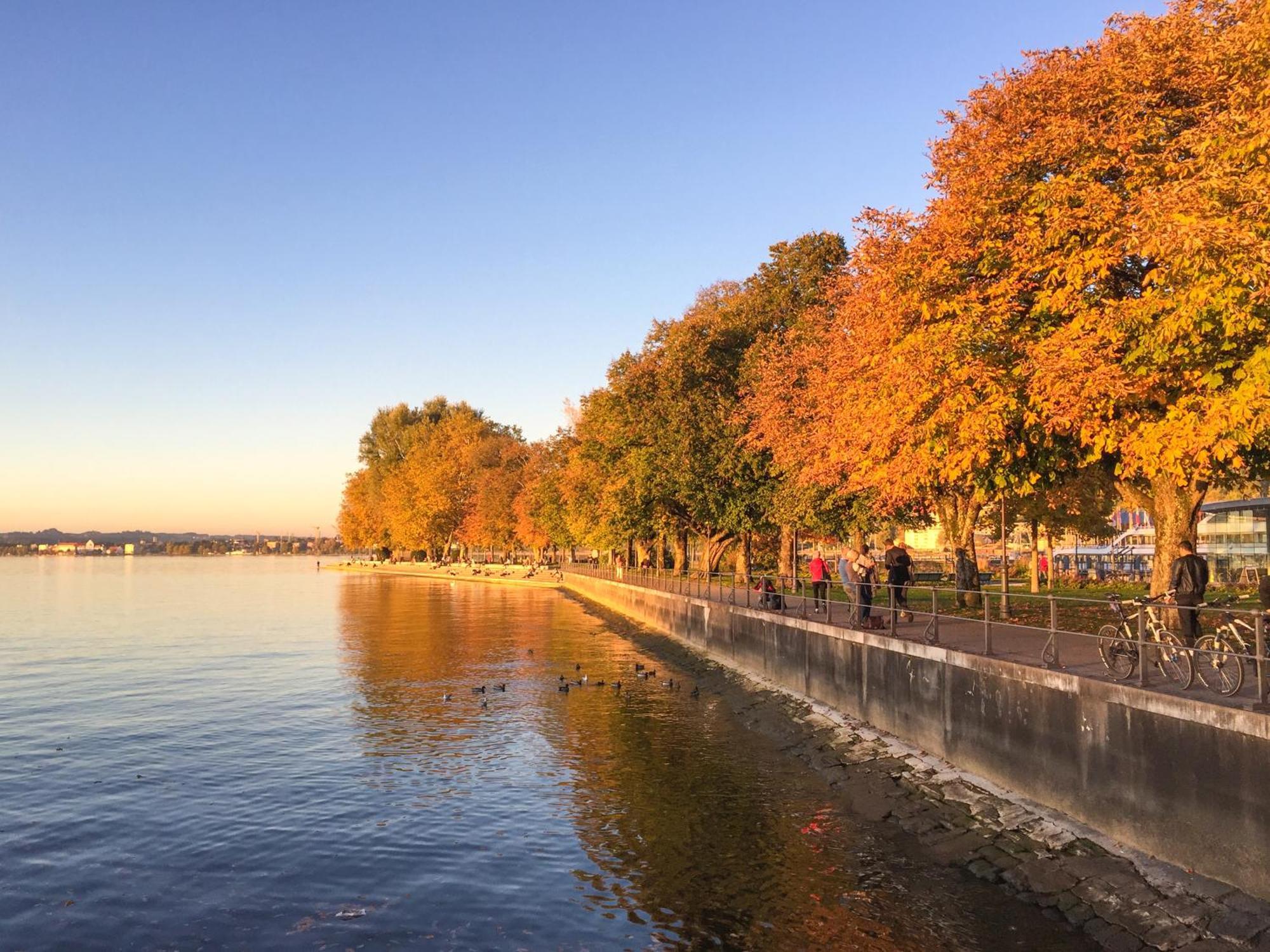 Seeblick Bregenz - Mit Parkgarage Экстерьер фото